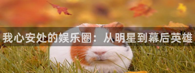 奇亿娱乐官方网站首页：我心安处的娱乐圈：从明星到幕后英雄