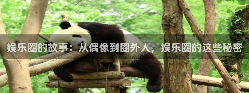 奇亿娱乐注册：娱乐圈的故事：从偶像到圈外人，娱乐圈的这些秘密