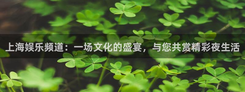 奇亿娱乐官方网站首页：上海娱乐频道：一场文化的盛宴，与您共赏精彩夜生活