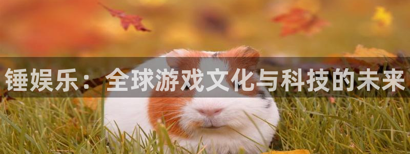 奇亿娱乐登录