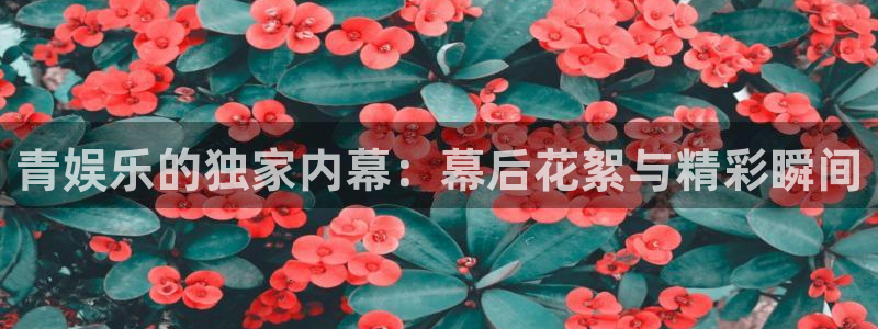 奇亿娱乐平台：青娱乐的独家内幕：幕后花絮与精彩瞬间